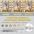 thumbnail image 4 of FANRAL 43'' Vanity Desk with 10 LED Lights,Under-Table RGB Strip & Built-in Power Station,Multi-Storage Makeup Table for Bedroom Bathroom Grooming,Natural Oak Vanity, 4 of 7