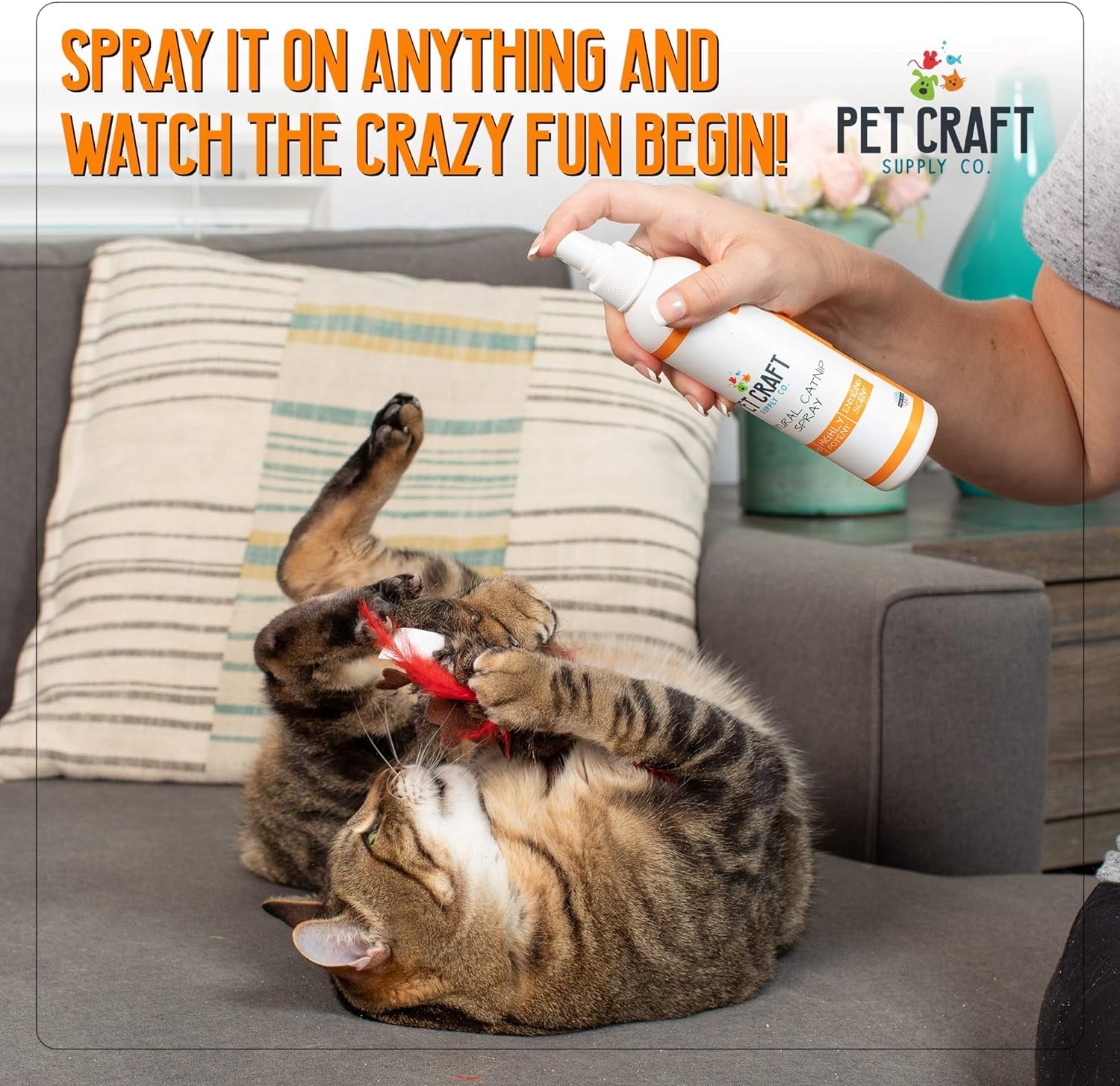 Pet Craft Supply Premium Maximum Potent All Natural Catnip for Cats, USA Grown & Harvested, 8 oz Value Spray Bottle