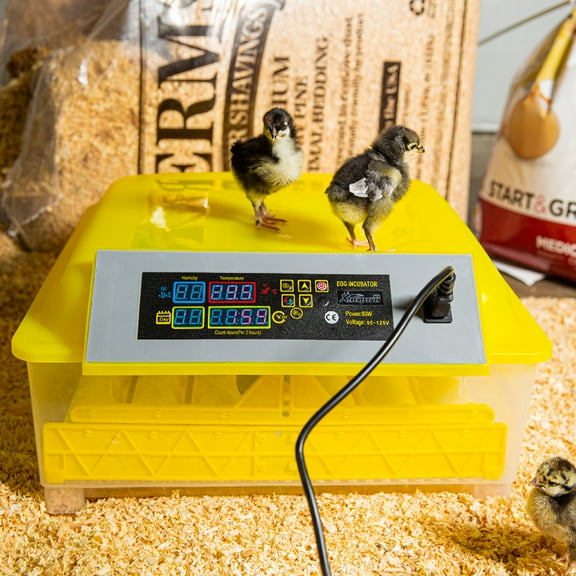 XtremepowerUS 48 Egg Incubator Automatic Temperature Control Automatic Incubator Built-in LED Automatic Turner