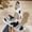 White, variant on Women's Breathable Knit Flat Sandals Wide Width Round Toe Summer Casual Sandals Stretch Mesh Soft Bottom Lightweight Walking Shoes Non Slip Outdoor Beach Sandals