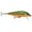 Brook Trout, variant on Rapala Countdown Minnow 07 Fishing Lure 2.75" 1/4oz Trout