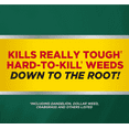 Image Kills Nutsedge Weed Killer ReadytoSpray Herbicide, 32 oz