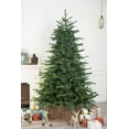 thumbnail image 2 of 6 Foot European Balsam Fir Artificial Christmas Tree (6ft Unlit), 2 of 5