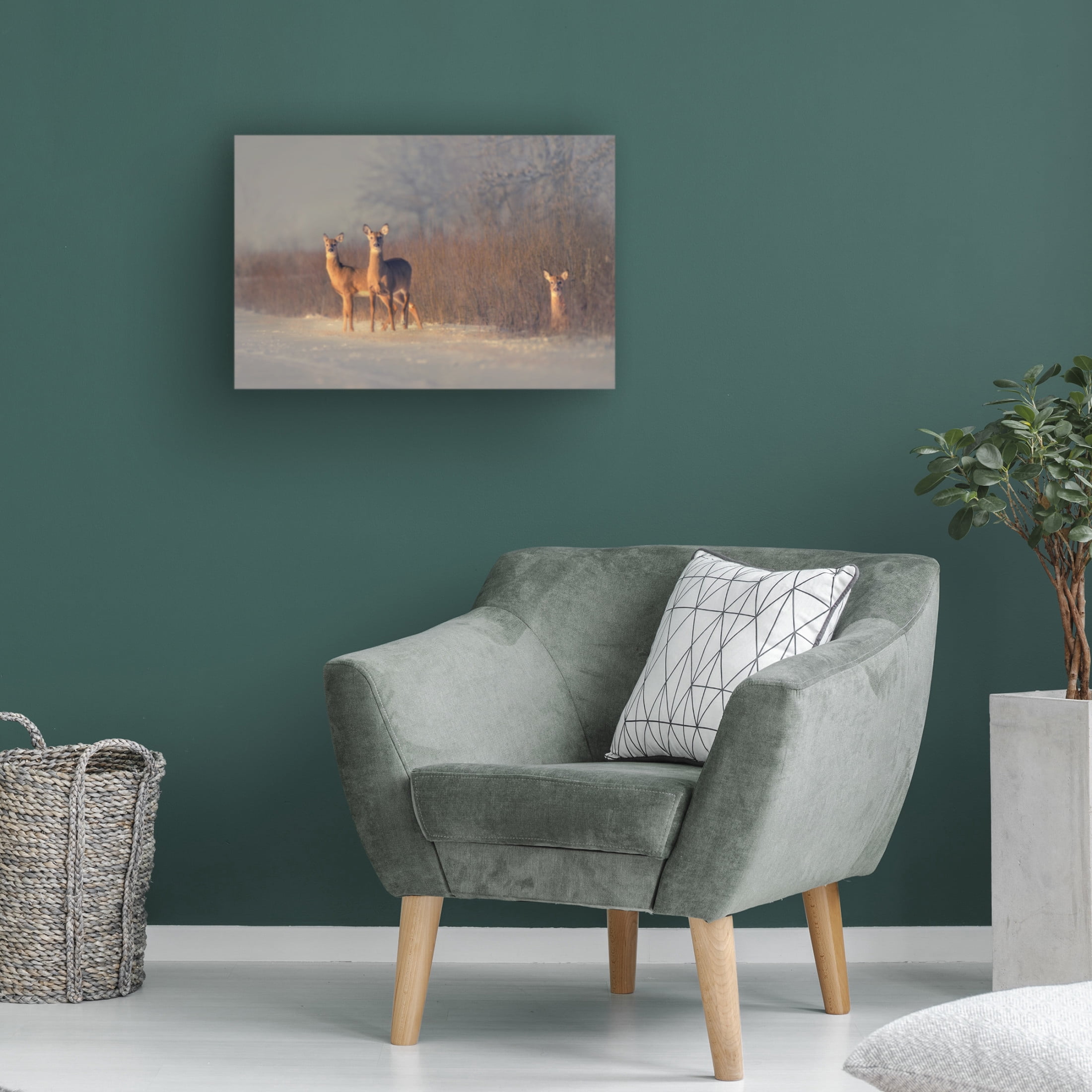 Canvas Wall Art - Qing Zhao 'Three Deer' Wall Art for Living Room, Bedroom, or Office Décor by Trademark Fine Art - 47 x 30 Inches
