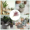 thumbnail image 5 of Uxcell Plantas Suculentas Artificiales Pequeñas Plantas Falsas Suculentas Sin Maceta Burdeos Paquete de 4, 5 of 5