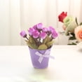 thumbnail image 4 of Cheers Simulation Bonsai Chic Fresh Dinning Table Decor Iron Potted Artificial Rose Flower Home Decoration Photograph Props, 4 of 7