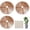 Coffee_3Pcs, variant on 3 PCS Plant Pot Grid, Cuttable Flower Pot Soil Cover Protectors with Deep Stakes, Dogs, Cats Digging Stopper, Plant Grid Pot Cover, 7.87in Diameter(Coffee)