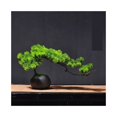 thumbnail image 1 of Simulación Bienvenido Belleza de Pino Adornos de Pino y Bonsái Hogar Sala de Estar Plantas en Maceta, 1 of 6