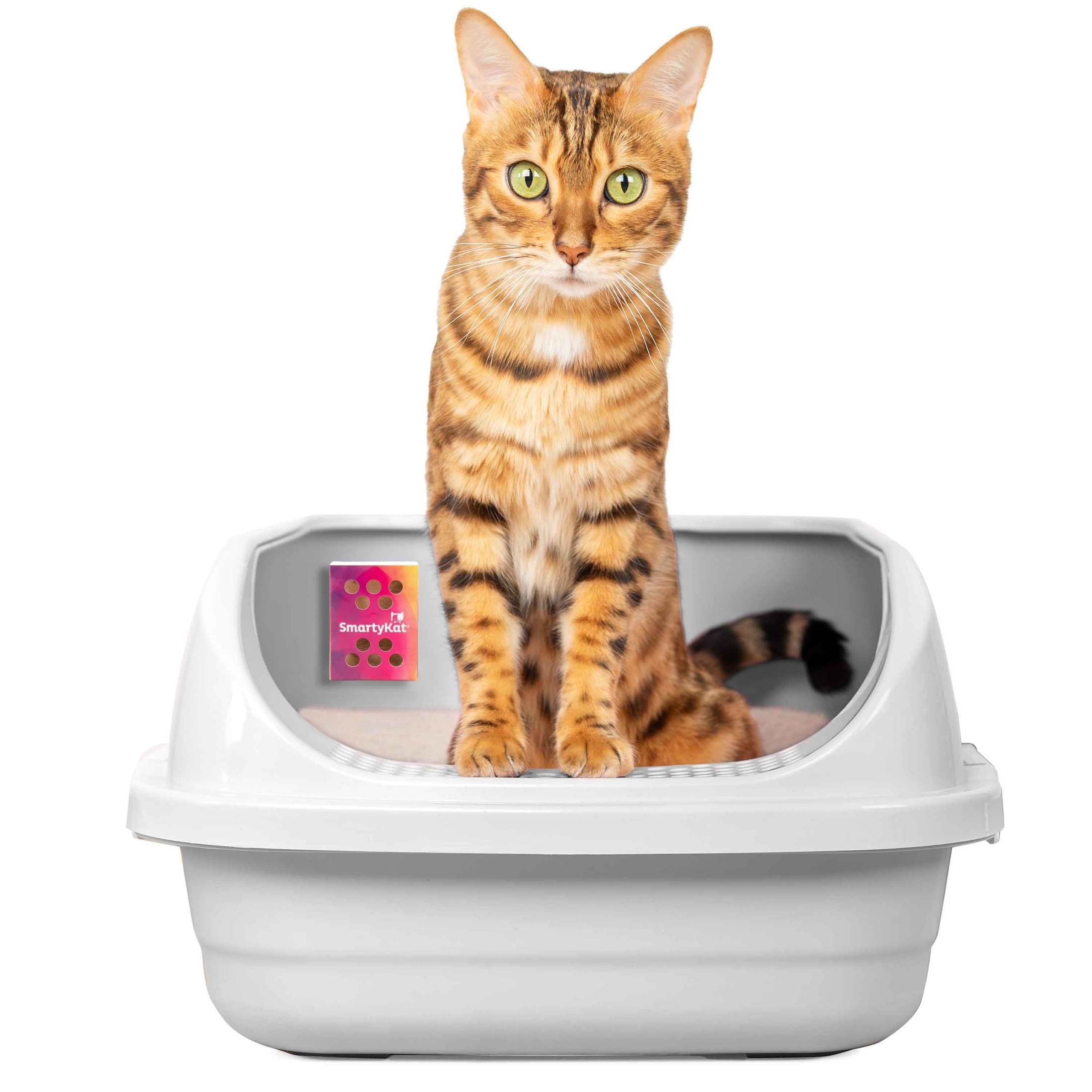 (3 pack) SmartyKat Odor Erase Pet Litter Box Odor Absorber for Cats, 0.34 oz Box & 2 Sachets