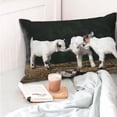 thumbnail image 4 of Balery Cute Goat Baby Funda de Cojín Estampada, Regalos para Mujeres, Regalos de Amor para Ella, Regalos para Novia o Esposa, Funda de Almohada-20"x30", 4 of 6