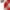 Watermelon red, variant on SNOWSONG Long Sweater Cardigan Women Clearance! Women's Fall Button Plaid Printed Loose Shirt with Pocket, Plus Size Cardigan, 3/4 Sleeve Sweaters for Women, Cardigans Lightweight 1PC Top Black L