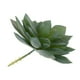 thumbnail image 4 of 2 Piezas de Plantas Suculentas Artificiales Decoración para hogar Y Hermosa, 4 of 6