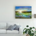 thumbnail image 3 of Trademark Fine Art 'Radiant Evening' Canvas Art by Sheila Finch, 3 of 4