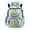 Capybara Turtle Print, variant on Capybara Turtle Girls Backpack Multi-Pocket School Bag Adjustable Shoulder Straps 17 inch Book Bag for 10-12T Primary School Students Daily Use