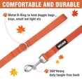 thumbnail image 3 of azuza 3 Pack Fall Nylon Dog Leashes Strong & Durable Basic Dog Leash with Easy to Use Collar Hook for Puppy and Small Dogs, XS (6FT, 3/8"), 3 of 6