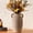 Brown, variant on White L Ceramic Vase Boho Decorative Pottery for Living Room Kitchen Bedroom