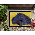 thumbnail image 3 of Carolines Treasures SS8839MAT Pomeranian Doormat 18x27 27"L x 18"W multicolor, 3 of 4