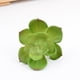 thumbnail image 5 of Suculentas falsas Yuarrent 10 piezas plantas simuladas decorativas tipo 13, 5 of 6