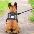 thumbnail image 3 of Arnés para perros Beebiepet Heavy Duty Tactical para perros medianos, 3 of 5