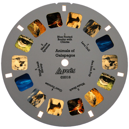 View Master Classic 3D Images Animals of Galapagos 3 Reels Toy Viewfinder