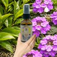 thumbnail image 3 of Aceite Para Cabello y Cuerpo Con Aceite Esencial De Té Verde Verbena 60ml, 3 of 5