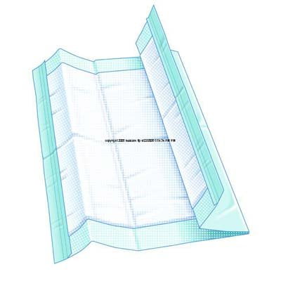 Units Per Case 200 TENA Underpads Pad 23" x 24" Regular Absorbency SCA Hygiene Products 351