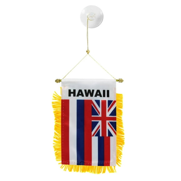 US Flag Store Hawaii Mini Window Banner