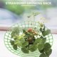 thumbnail image 3 of 10PCS Strawberry Stand Frame Holder Balcony Planting Rack Fruit Support Plant Flower Climbing Vine P, 3 of 5