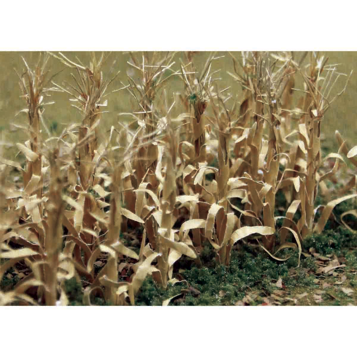 Dried Corn Stalks 2 Tall 28 Pkg Walmart Canada