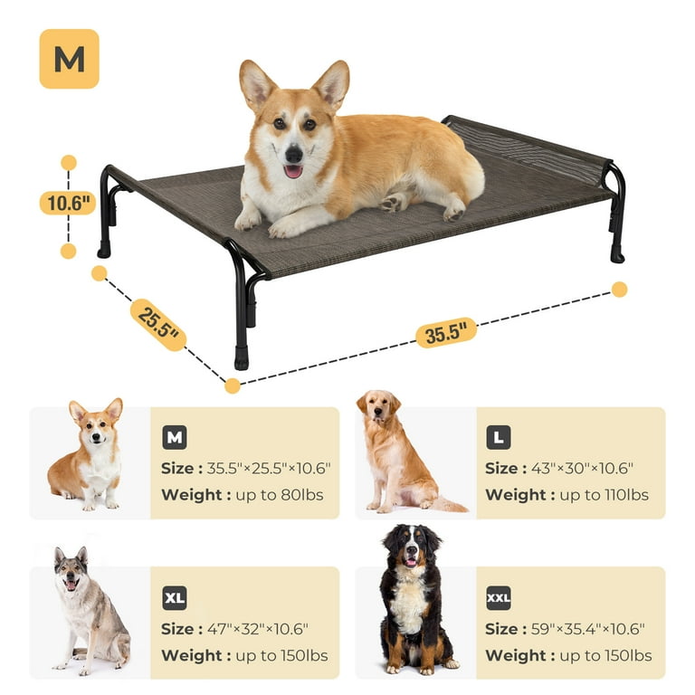 Chew proof elevated dog bed 2025