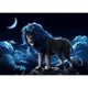 thumbnail image 1 of Drill Diamond Painting (DE5364) Full Rhinestone Picture DIY Animals Poster (LD625) 45x60cm Hugtrwg Para estrenar, 1 of 1