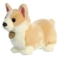 thumbnail image 5 of Aurora - Miyoni - Chiot Corgi Gallois Pembroke de 9,5 Po, 5 of 5