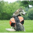 thumbnail image 6 of Large Dog Hiking Backpack for Outdoor Training with Adjustable Straps and Durable Pack Design, 6 of 8