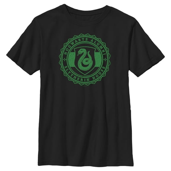 Boy's Harry Potter Hogwarts Alumni Slytherin House Graphic Tee Black Large