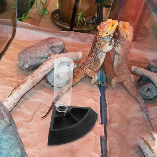 unbranded De Automática Para Terrarios De Reptiles Con Antivertido Y Fácil Mantenimiento