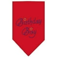 thumbnail image 6 of Pet and Dog Bandana Rhinestone, "Birthday Boy", 6 of 10