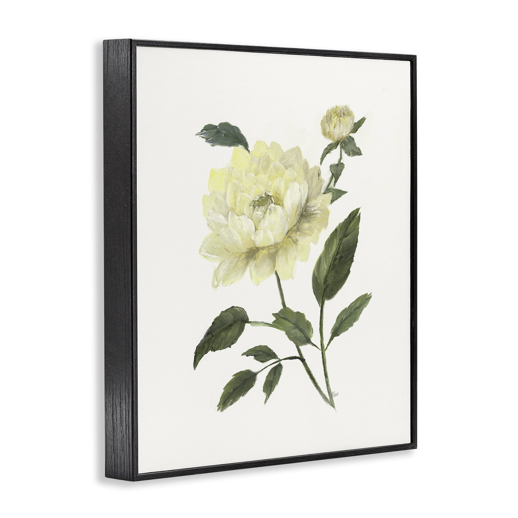 Stupell Industries Cream Garden Peony with Buds Black Framed Giclee Art, design by Nan