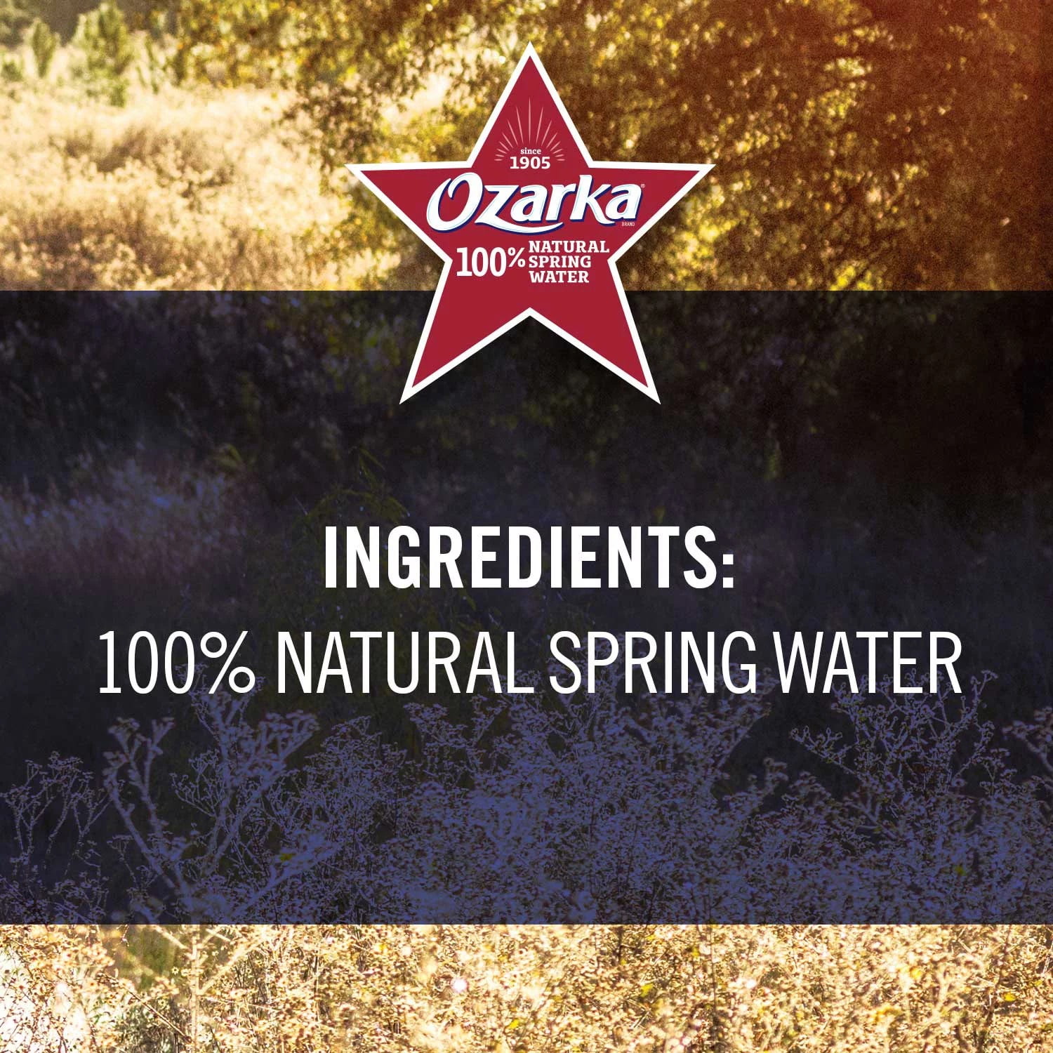 OZARKA Brand 100% Natural Spring Water, 16.9-ounce Plastic Bottles (Pack of 40)
