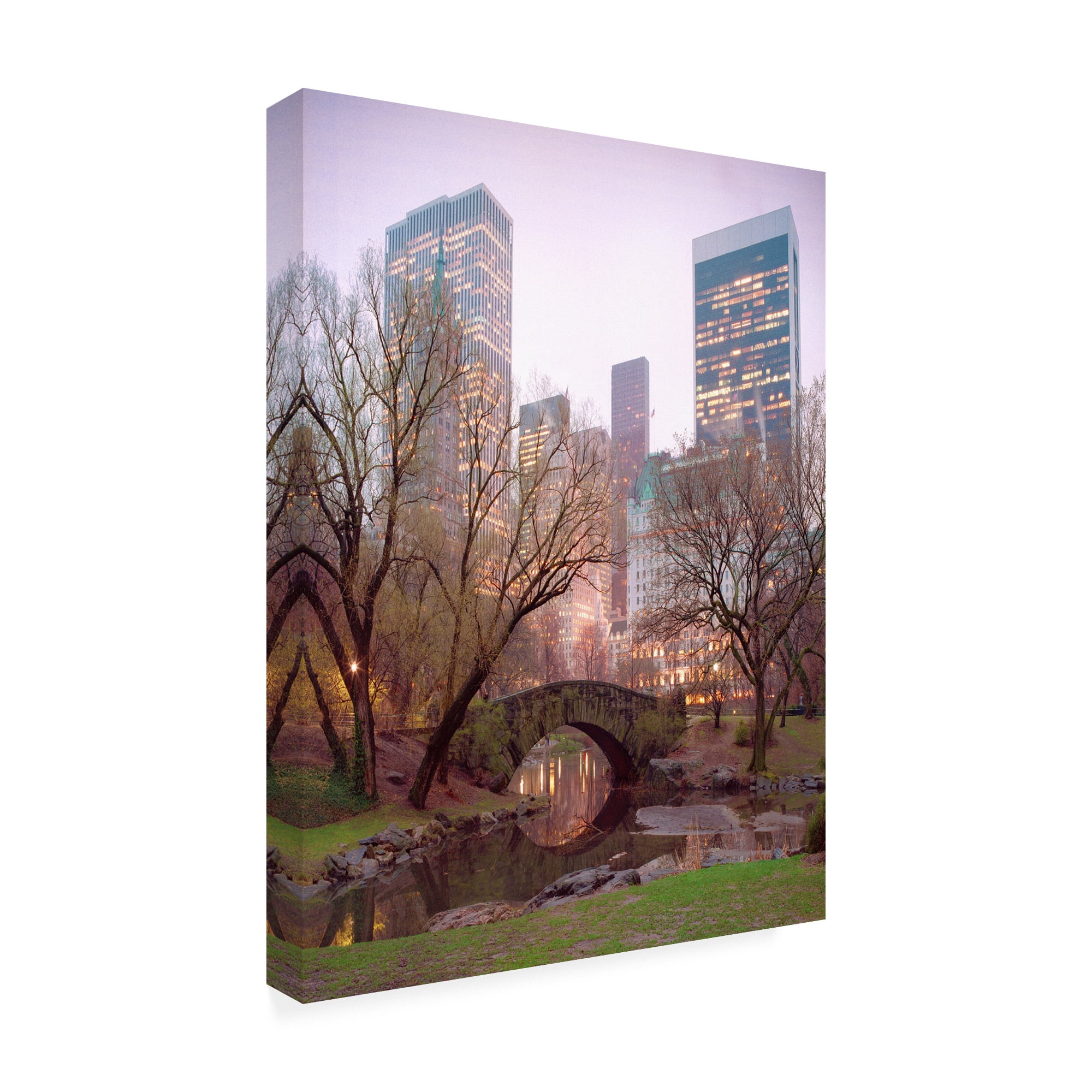 Trademark Fine Art 'Central Park, NYC' Canvas Art by Alan Klu