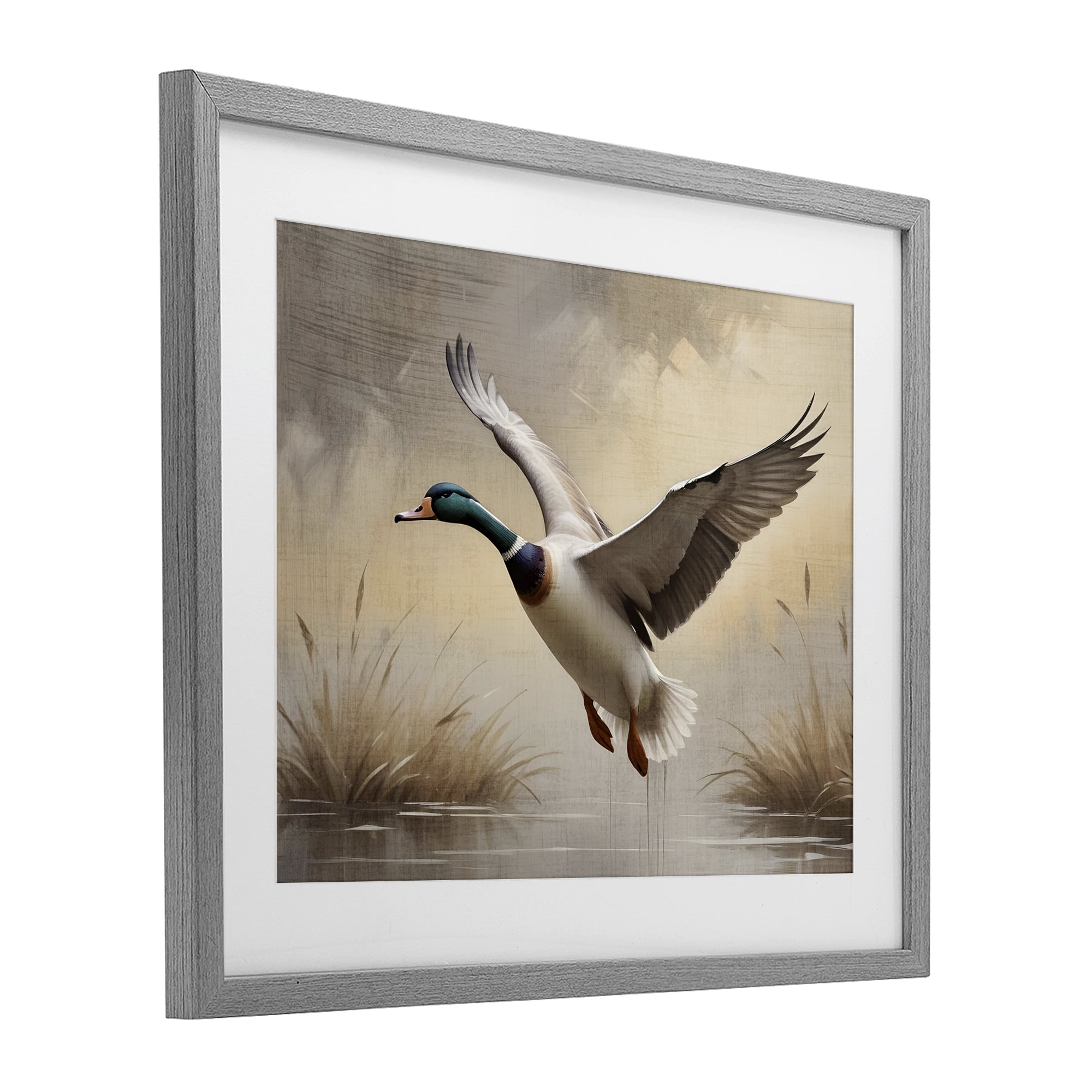 Stupell Industries Gliding Mallard over Wetlands Gray Framed Print Under Glass, design by Susan Arnot