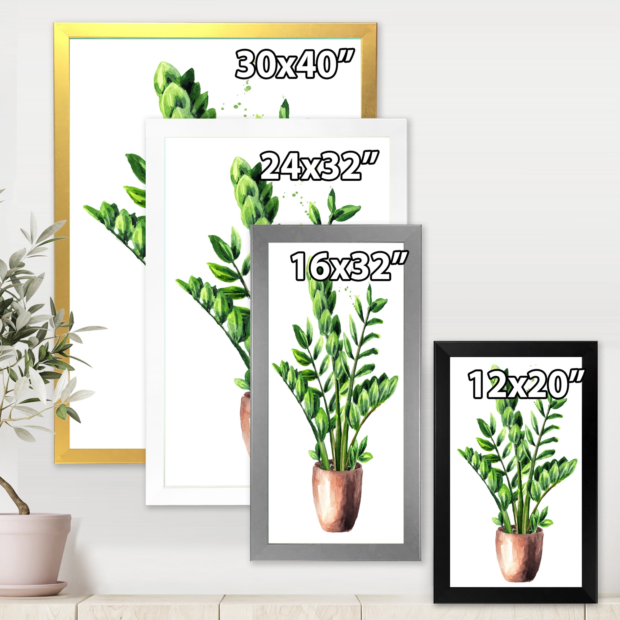 Designart 'Zamioculcas Tropical Plant With Green Leaves On White' Traditional Framed Art Print