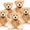 Light Brown bear, variant on MorisMos 12 Packs Teddy Bears 14'' Bulk Stuffed Animals Plush Bear