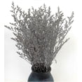 thumbnail image 1 of Preserved Valentine Grass Natural Limonium Bouquet, Real Caspia Bellidifolium, Sea Lavender (Yellow) 2025, 1 of 4