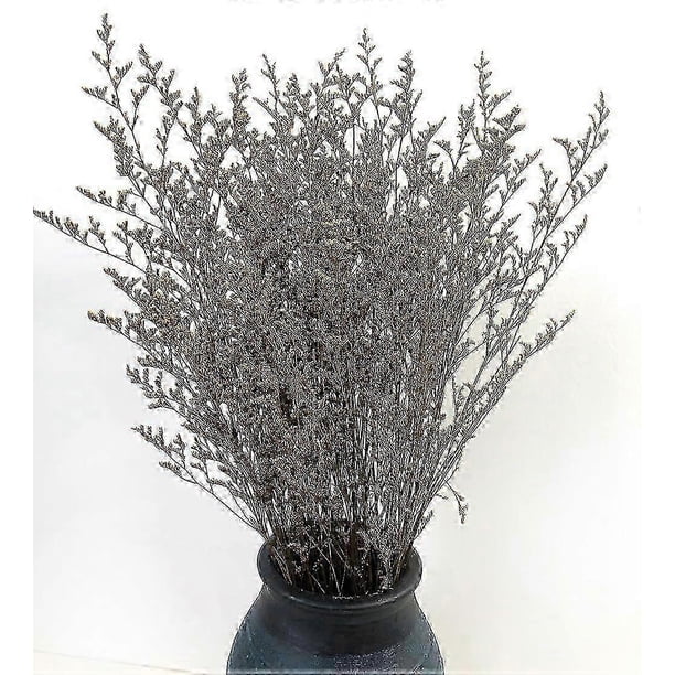 Preserved Valentine Grass Natural Limonium Bouquet, Real Caspia Bellidifolium, Sea Lavender (Yellow) 2025