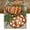 Brun, variante sur Chemin de Table d'Automne, 13x72 Pouces Citrouilles Feuilles Décoration de Table de Ferme pour Cuisine Salle à Manger, Dîner Intérieur Extérieur (Citrouilles Bleues) GT110-72