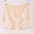 thumbnail image 5 of Sexy Panties for Women Ladies Transparent Lace Panties Big Size Hollow Breathable Quality Womens Plus Size Panties, 5 of 8