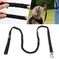thumbnail image 1 of Dog Leash, Bright Rainbow Colors Heavy Duty Dog Leash Metal Buckle Reflective  for Walking, 1 of 8