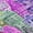 Purple, variant on Addison Rugs Chantille Indoor/Outdoor Transitional Novelty Blue Washable Runner Rug, 2'3" x 7'6"