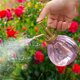 thumbnail image 5 of Pumpkin Plastic Spray Bottle Gardening Supplies Colorful Small Spray Bottle, 5 of 5