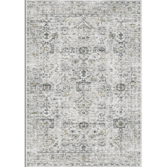 RONSHIN Area Rugs Washable Carpets 980Gsm 100% Polyester Terry Velvet 200 Washed Folded Printed Carpet-Traditional-Lehman gray 6*9ft